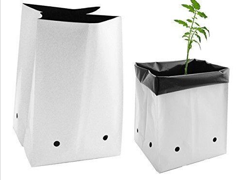 Viagrow™ 1 Gallon Grow Bags - 1000 Pack of Durable Plant Pots for Indoor/Outdoor Gardening, Hydroponics, Seed Starting & Herb Cultivation - Perfect for Home Gardeners & Commercial Growers