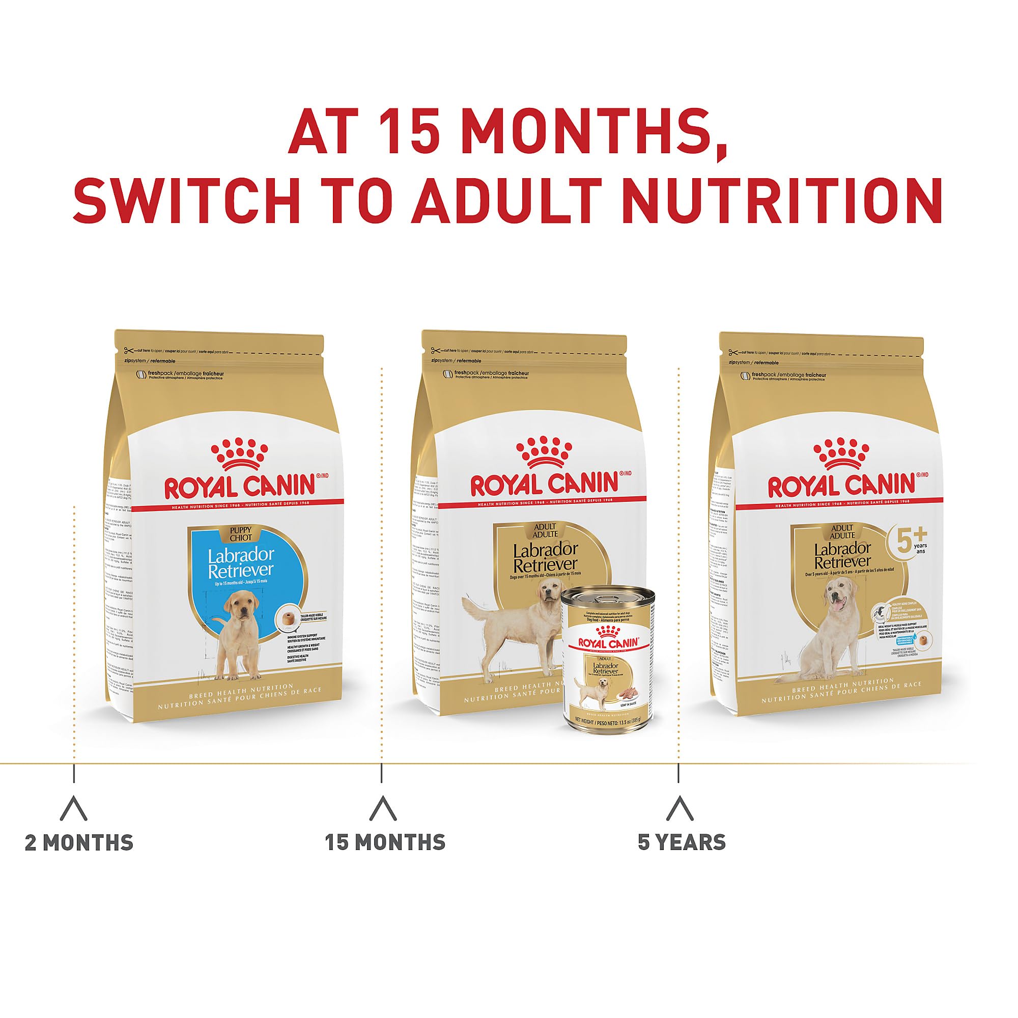 Royal Canin Labrador Retriever Adult Dry Dog Food - 30 lb Bag | Premium Nutrition for Large Breed Dogs | Perfect for Active Labs & Outdoor Adventures