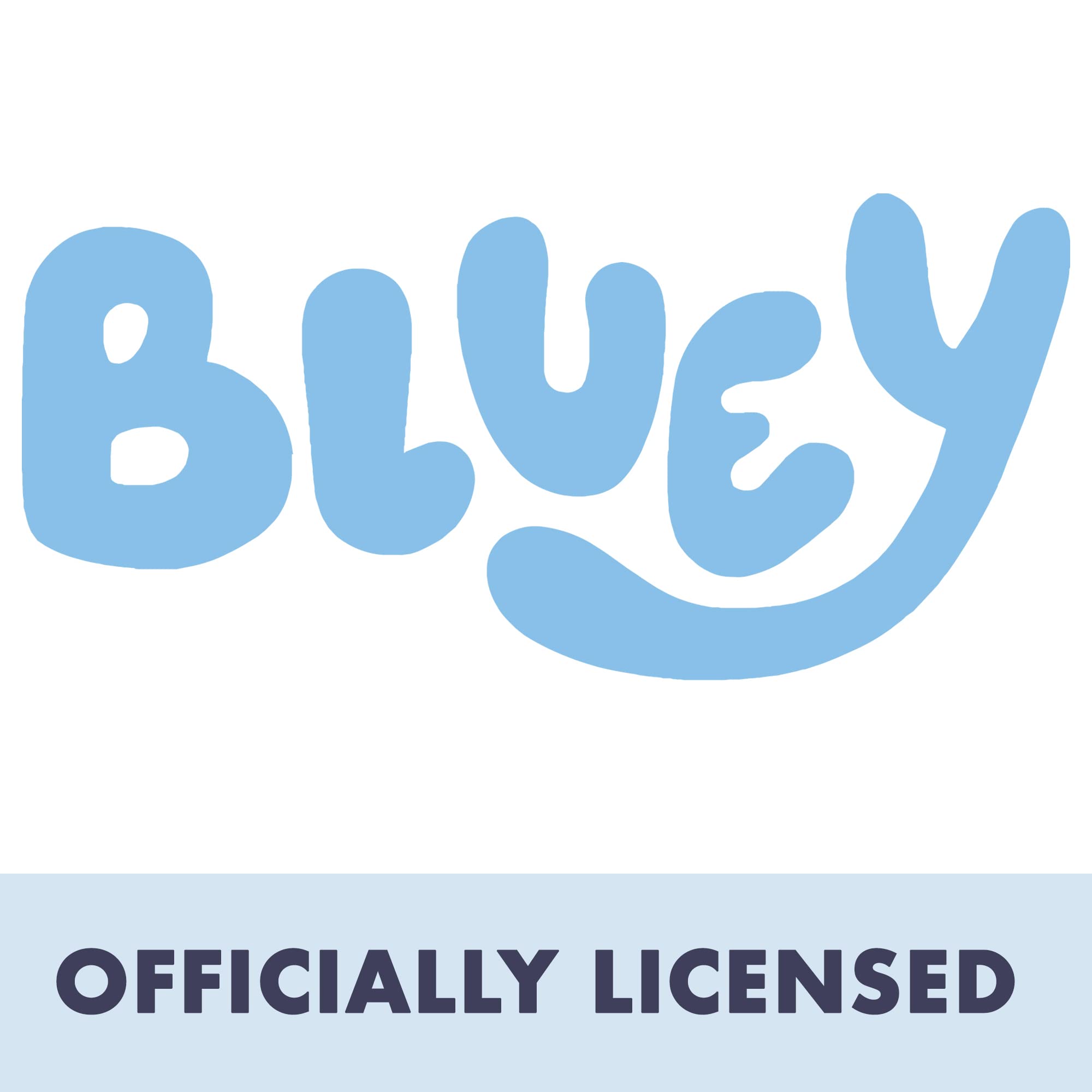 Bluey Birthday Party Supplies & Decorations Set - 28