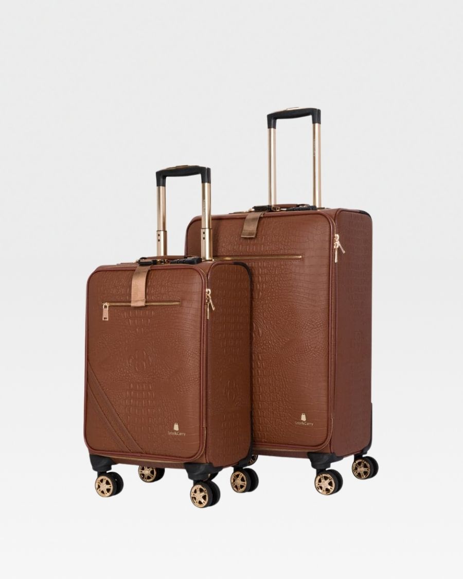 Apollo 2-Piece Luggage Set - Lightweight Durable Hardshell Suitcases with Spinner Wheels for Travel, Business Trips & Vacations | TSA Lock & Expandable Design