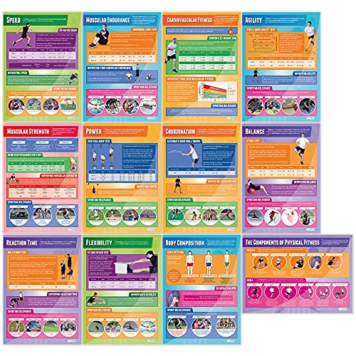12-Piece Physical Fitness Components Poster Set | 33” x 23.5” Gloss Paper PE Charts | Classroom Educational Posters for Physical Education | Ideal for Gym Walls & School Classrooms by Daydream Education