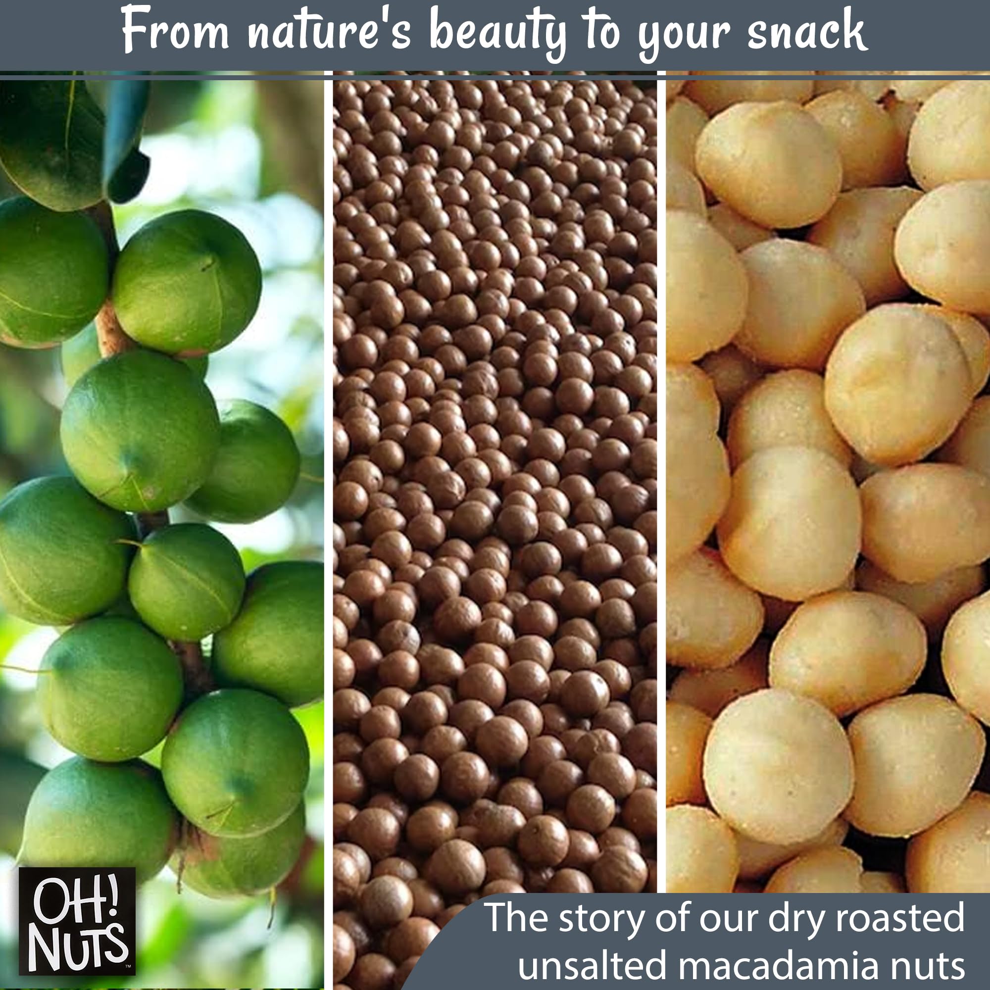 Premium Dry Roasted Unsalted Macadamia Nuts - 1 lb Bag | Oven Roasted Without Oil | Freshness Sealed in New York | Perfect for Snacking, Baking & Gift Giving | Oh Nuts Brand