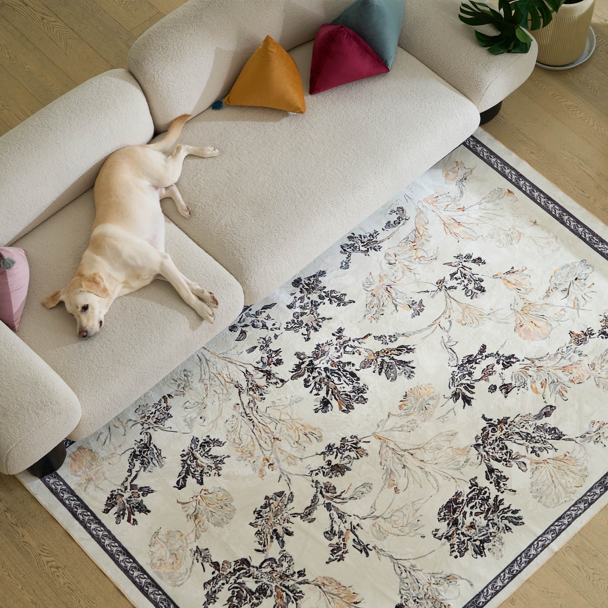 Easy Clean Farmhouse Style Plush Area Rug - Non-Slip Hallway Runner for Living Room, Bedroom & Entryway