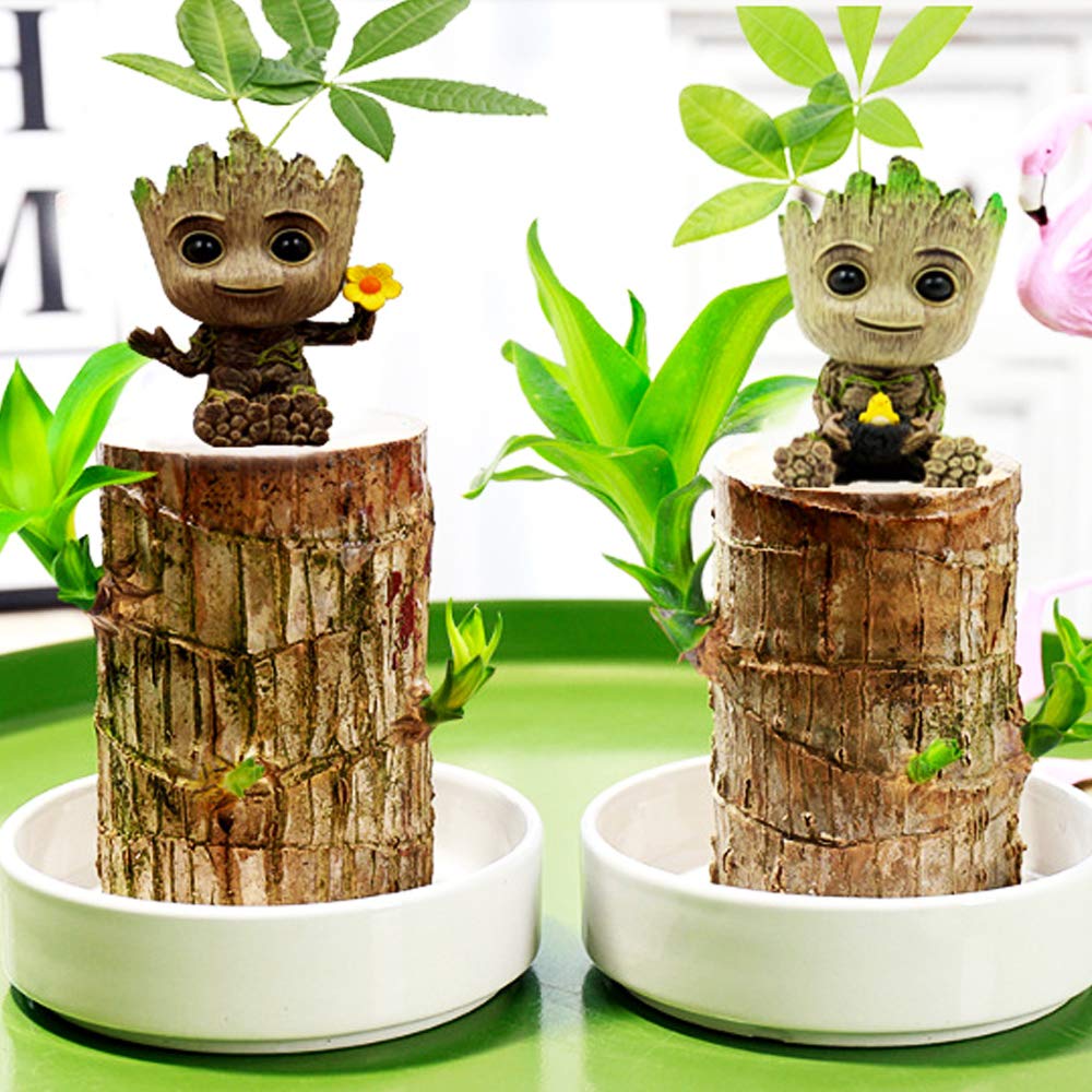 Face Planters Pots - Cute Succulent & Flower Head Planter with Drainage Hole - Perfect for Home, Garden, Office Decor - Great Gift Idea for Plant Lovers (Groot Style)