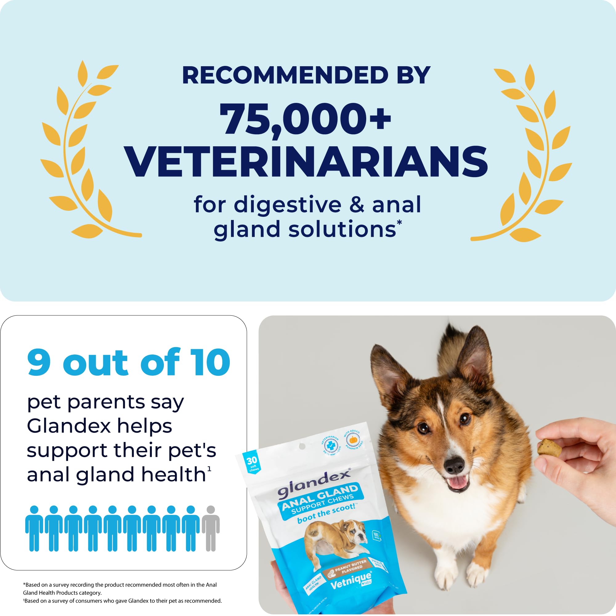 Vetnique Labs Glandex Anal Gland Soft Chew Treats for Dogs - Digestive Enzymes, Probiotics & Fiber Supplement with Pumpkin - Peanut Butter Flavor (60 Count) - Supports Anal Gland Health & Reduces Scooting - Perfect for Digestive Support & Daily Treats