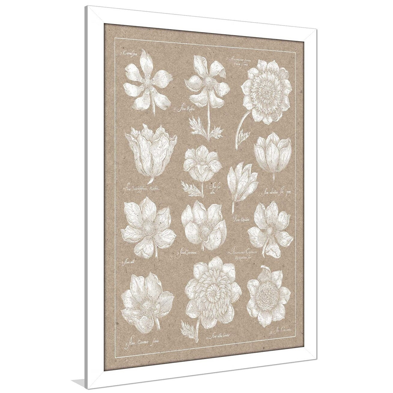 Vibrant Anemone Flower Print Acrylic Plate - Elegant Home Decor for Dining Table, Wall Art & Gift Ideas