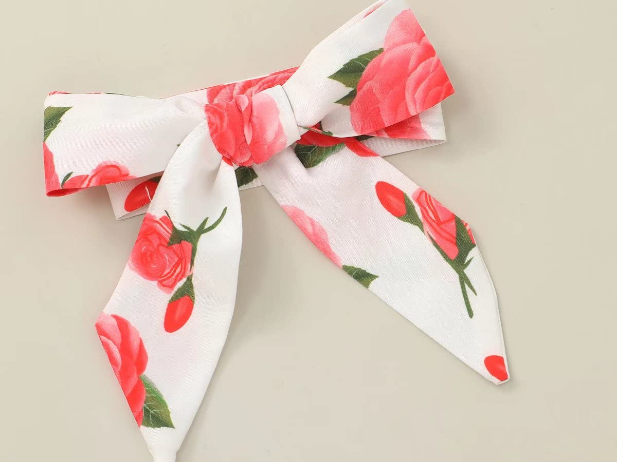 BINPAW Newborn Baby Girl Clothes Floral Outfit Set - Soft Cotton Romper & Headband for Newborn Photography, Christening, and Special Occasions
