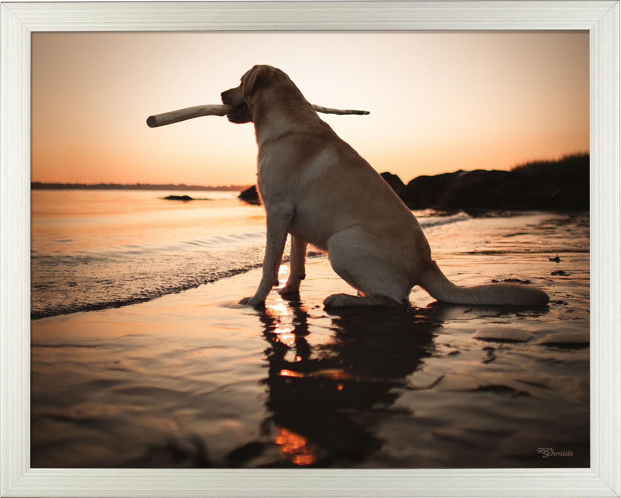 Dusk Art Prints - Stunning Sunset & Twilight Wall Decor for Living Room, Bedroom & Office | High-Quality Canvas & Framed Artwork
