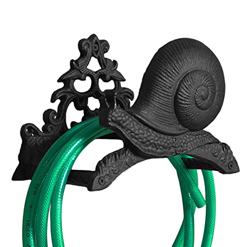 Snail