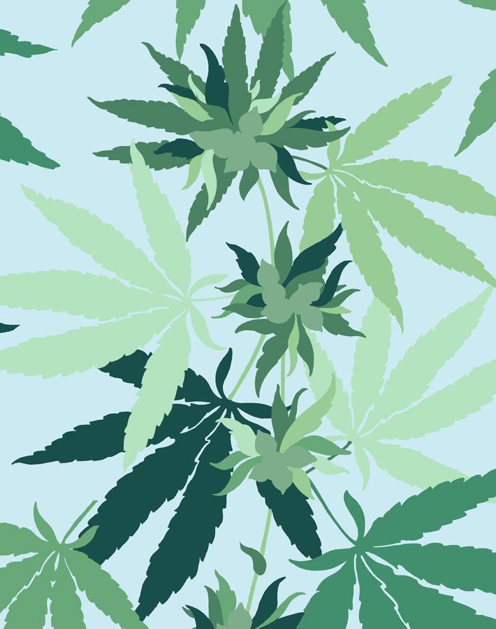 Nathan Turner Sky Cannabis Wallpaper - Premium Peel & Stick Removable Wallpaper for Home & Office Decor