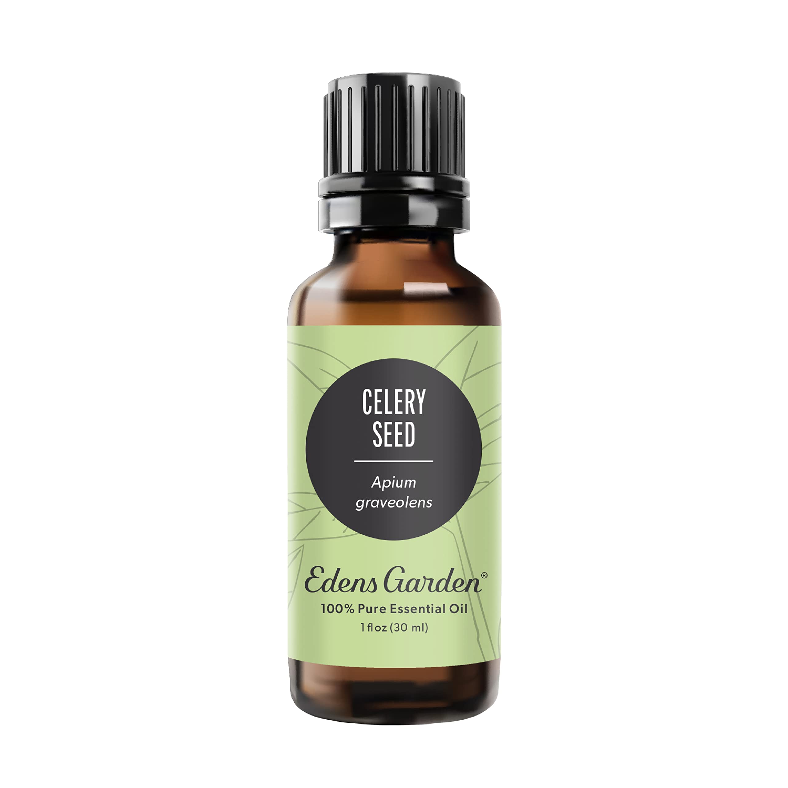 Edens Garden 100% Pure Celery Seed Essential Oil - Undiluted, Natural, Therapeutic Grade for Aromatherapy, Diffusers, Skin Care, Candles & Laundry | 30ml (1 fl oz) | Perfect for Stress Relief, Home Spa & Natural Cleaning