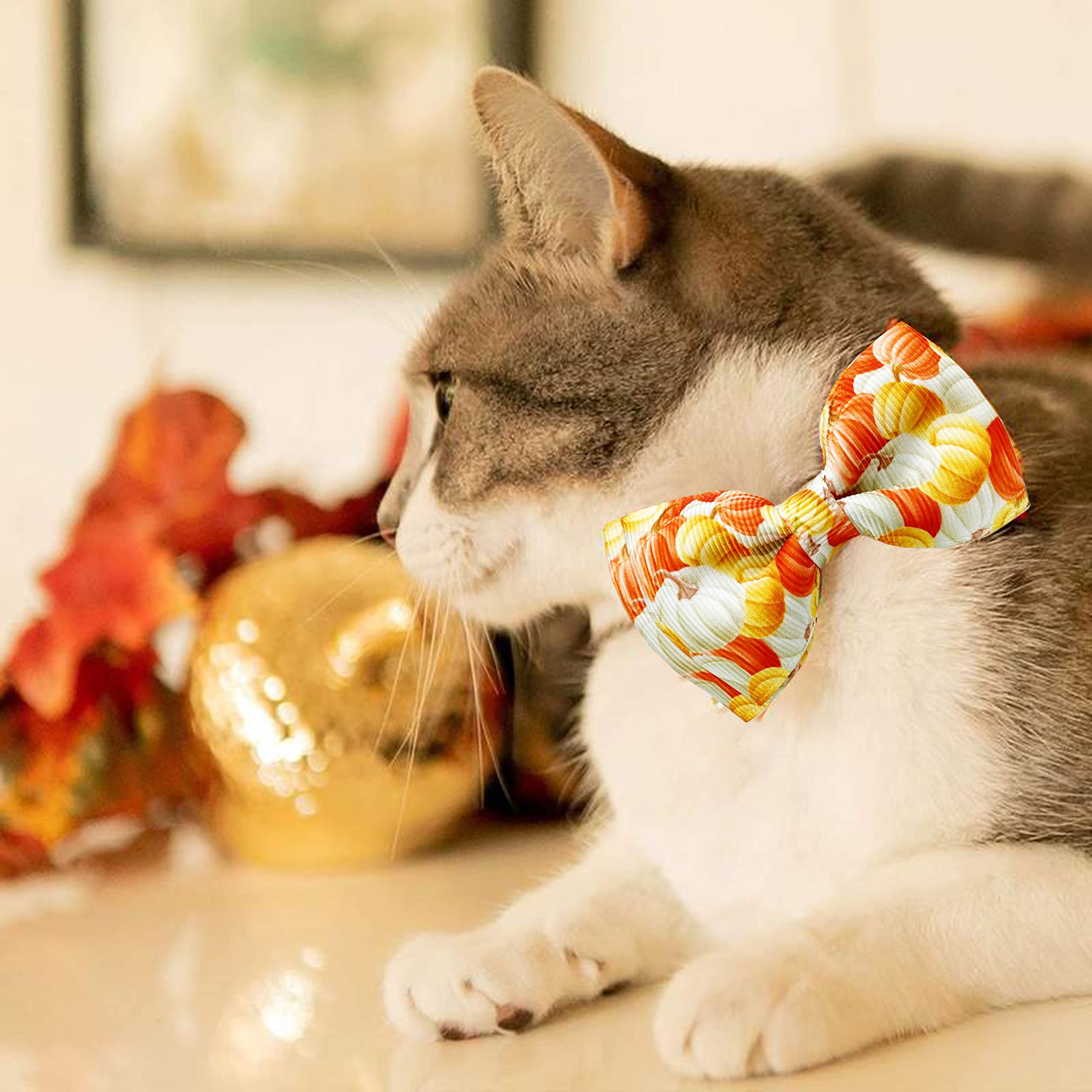 Thanksgiving Dog Collar with Bow Tie - Fall Harvest Turkey & Pumpkin Pet Collar for Small, Medium, Large Dogs - Adjustable Holiday Costume Accessory for Puppies & Pets (Large) - Perfect for Thanksgiving Parties & Autumn Photo Shoots