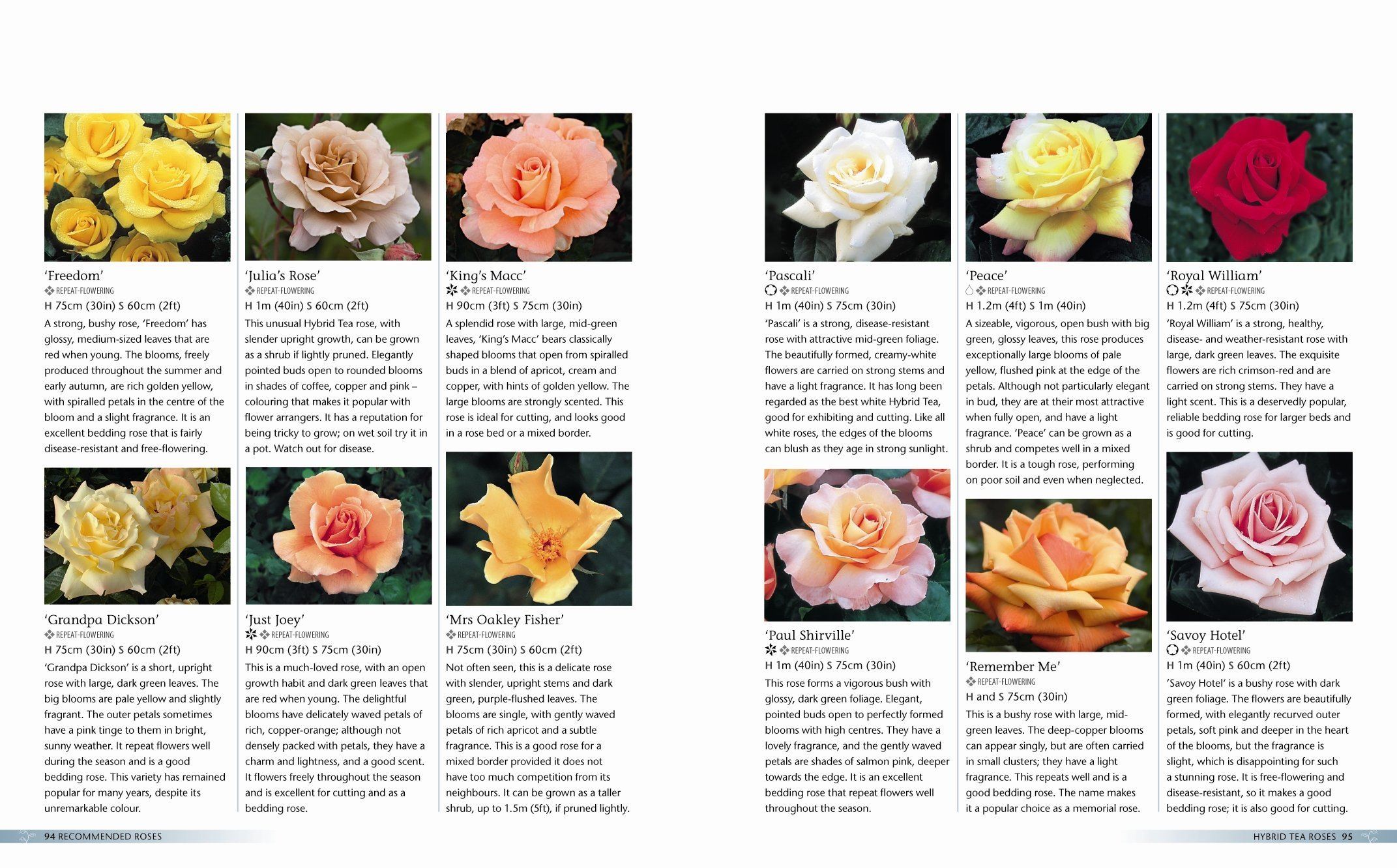 Alan Titchmarsh How to Garden: Growing Roses Paperback - Expert Rose Gardening Guide for Beginners & Enthusiasts | Perfect for Home Gardens, Landscaping & Floral Arrangements