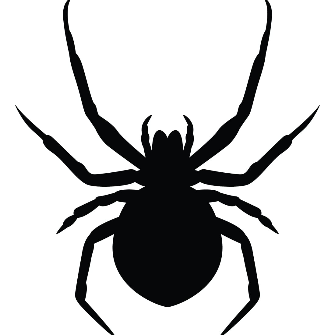 Premium Waterproof Vinyl Halloween Spider Decals (Set of 2) - Black Spider Stickers for Laptop, Phone, Helmet, Car Window, Mug & Wall Decor - Perfect for Halloween Party, Home & Office Decoration