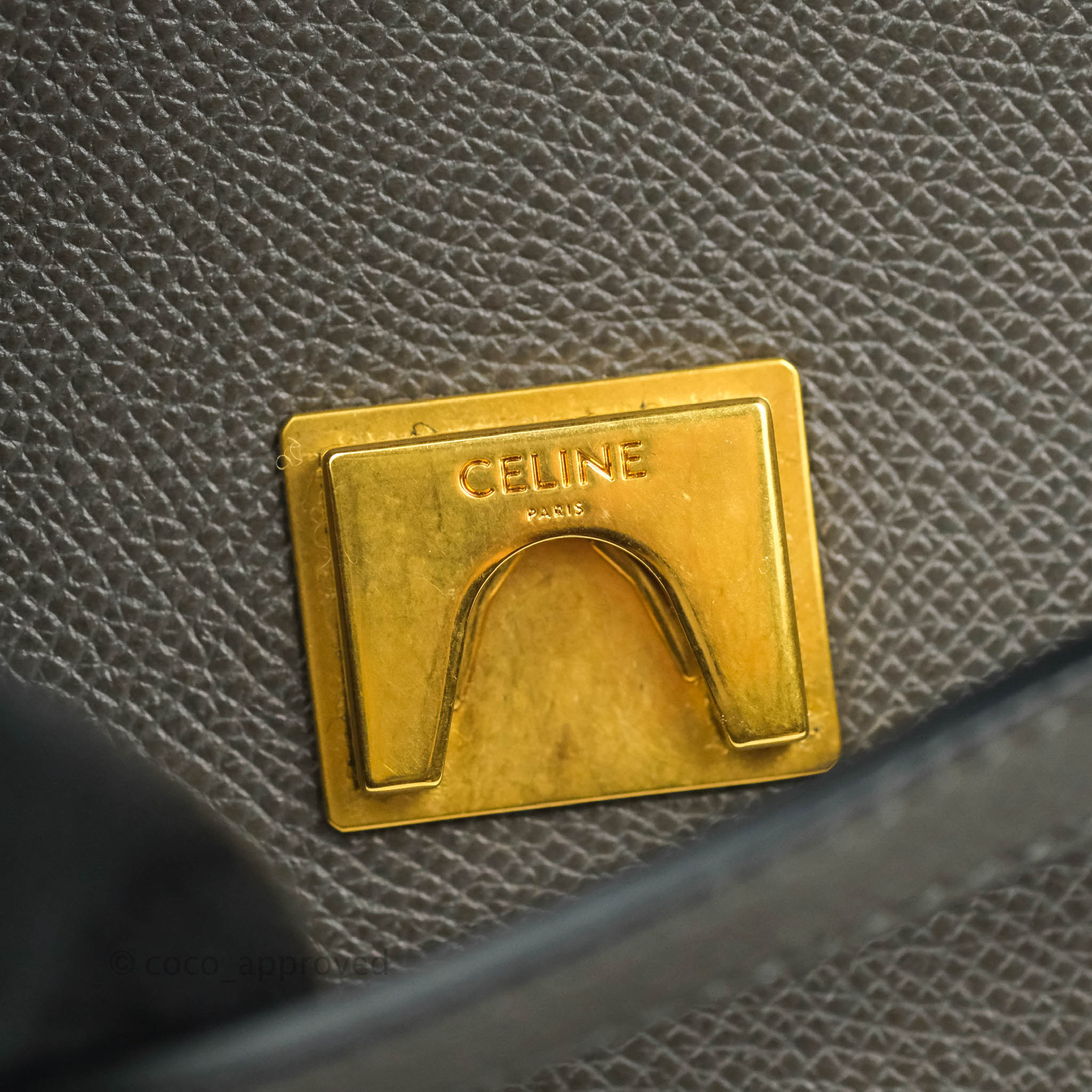 Celine Micro Belt Bag in Grey Grained Calfskin with Gold Hardware - Luxury Crossbody Bag for Women, Perfect for Work, Travel & Everyday Use