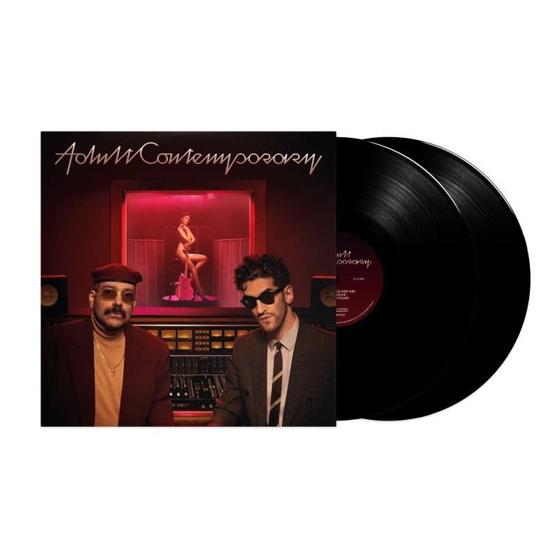 Adult Contemporary Vinyl Records - Classic Hits & Timeless Music for Home Listening, Parties & Gifts