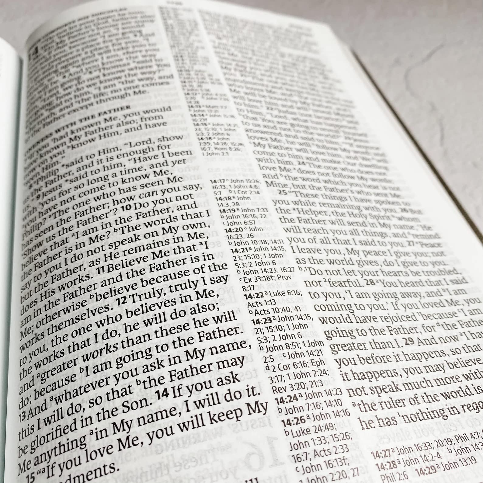 Hand Illustrated Laser Engraved NASB Bible - Large Print Reference Bible with Brown Leather Cover | Custom Name Engraving Available | Perfect for Church, Bible Study & Gift Giving