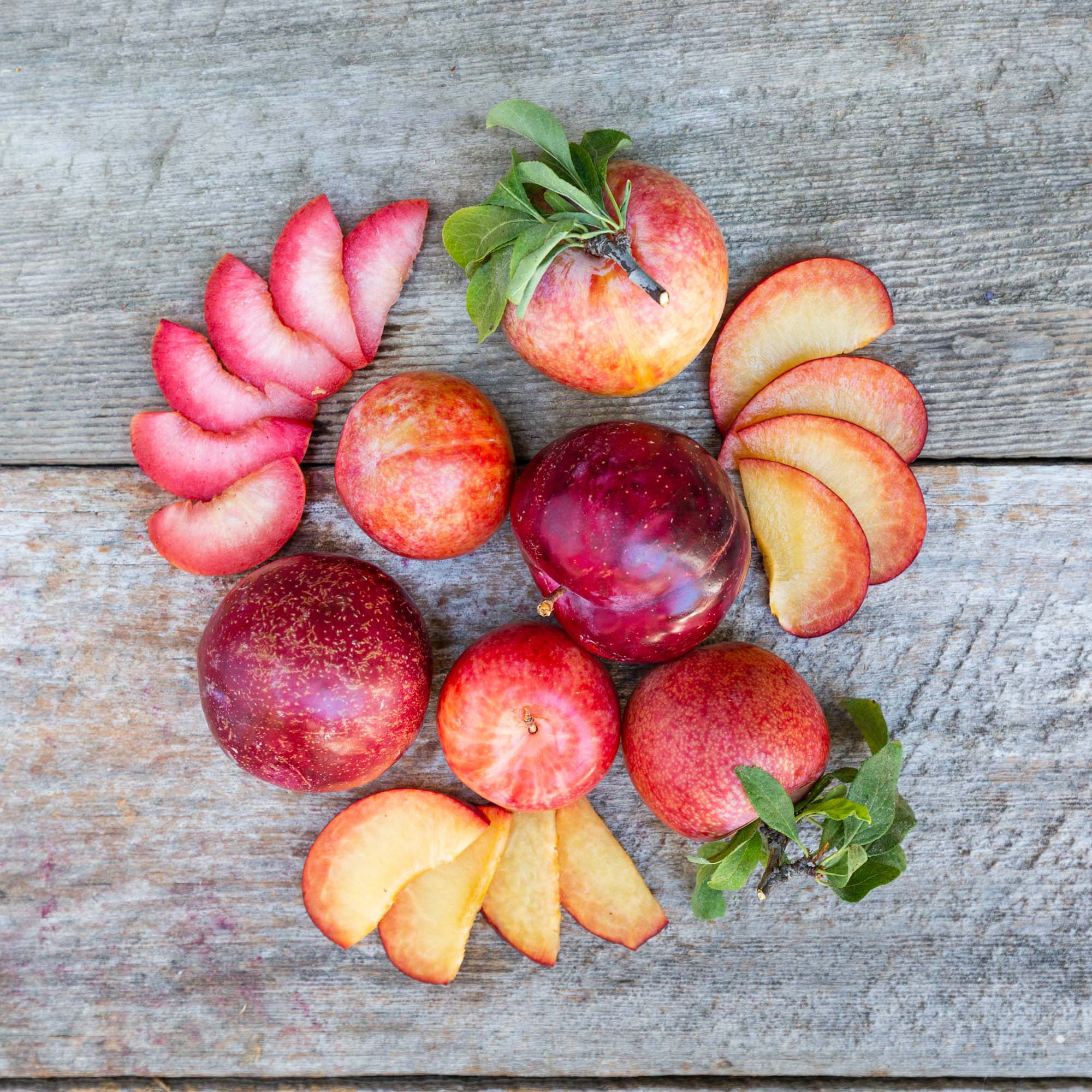 Organic Pluots - Fresh, Juicy & Sweet Hybrid Fruit for Healthy Snacks, Smoothies & Desserts | Perfect for Salads, Baking & Healthy Eating