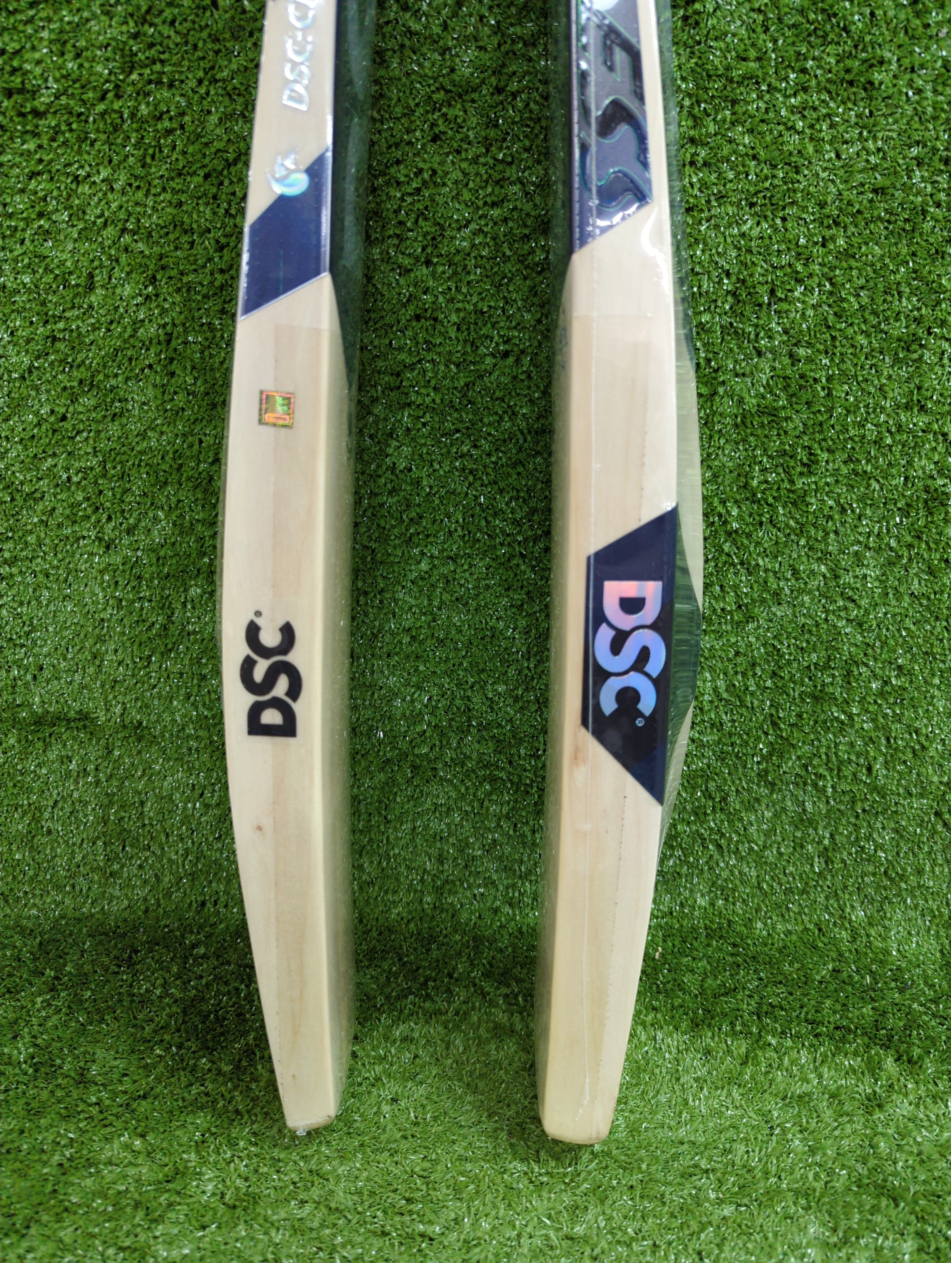 DSC BLAK 88 Adult Kashmir Willow Cricket Bat - Premium Quality for Professional & Recreational Cricket Players - Perfect for Matches, Practice & Training Sessions