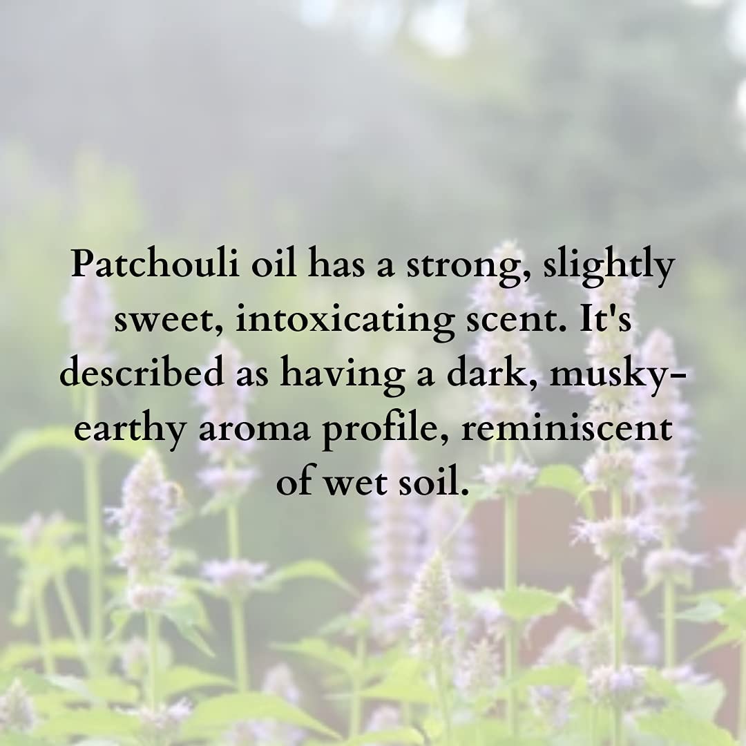 Premium Patchouli Solid Perfume Wax - Travel-Friendly Pocket Size with Long-Lasting Floral Scent (7 Hours) | Natural Beeswax Blend & Essential Oils | Perfect for On-the-Go, Office, Dates & Daily Wear - 5g