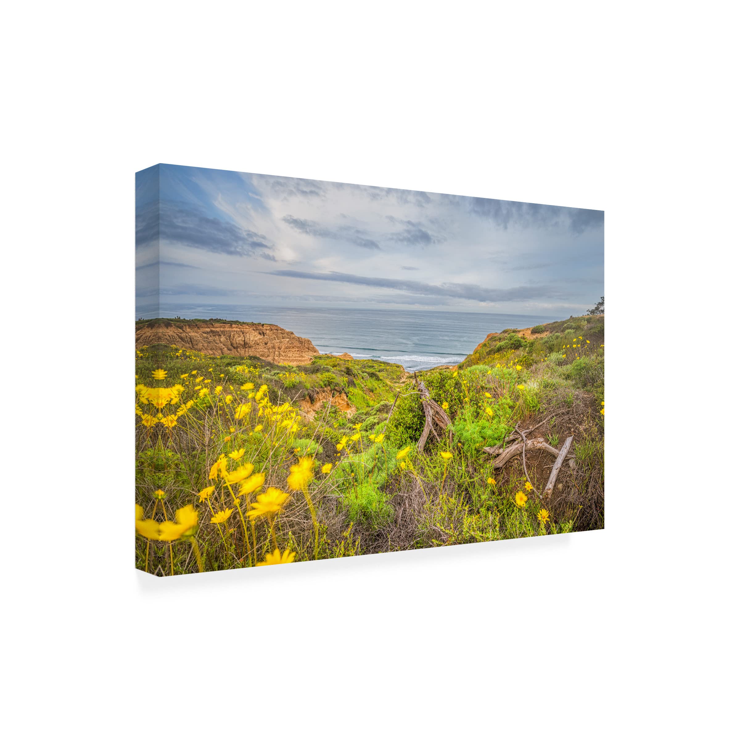 Joseph S Giacalone 'Nature's Magic at Torrey Pines' Canvas Wall Art Print - 30x47 Inches - Stunning Landscape Painting for Living Room, Bedroom & Office Decor