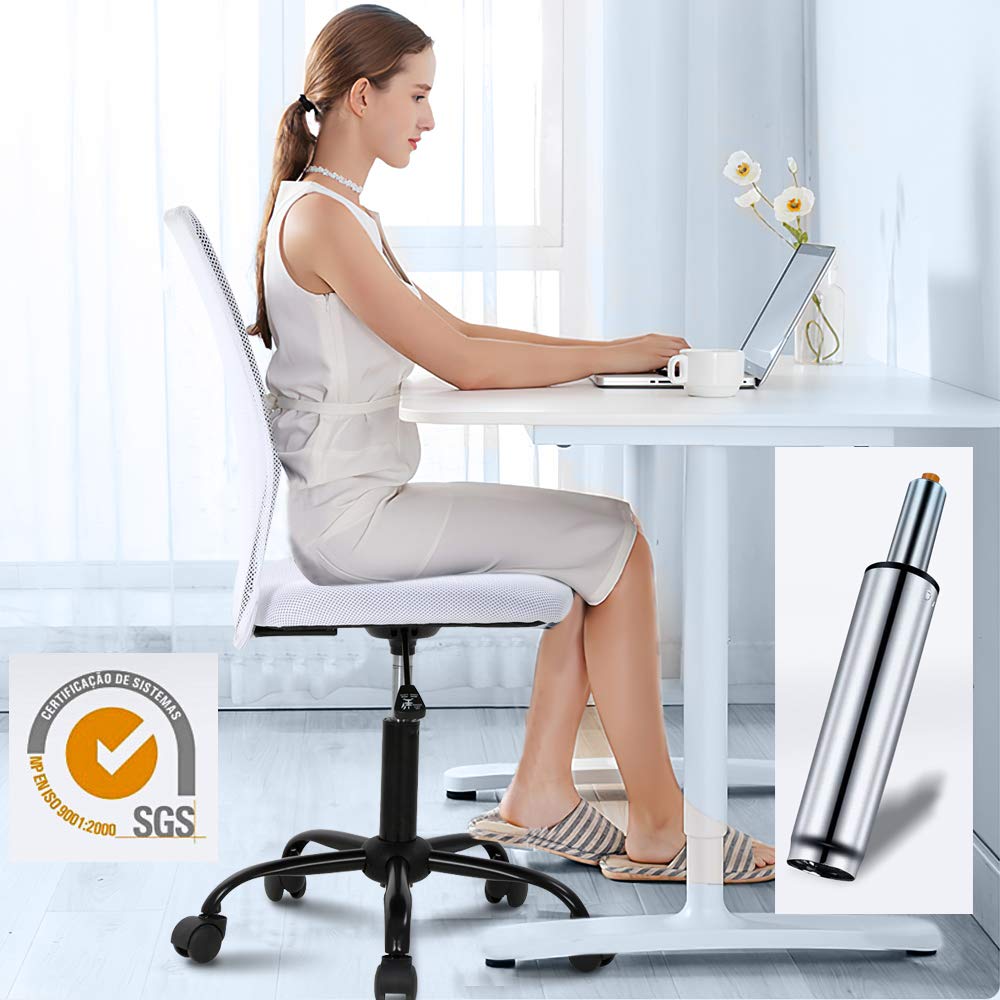 Ergonomic Home Office Chair - Adjustable Height Mid Back Mesh Computer Desk Chair for Students & Professionals - Modern No Armrest Rolling Swivel Task Chair (White) - Perfect for Small Offices, Gaming & Remote Work