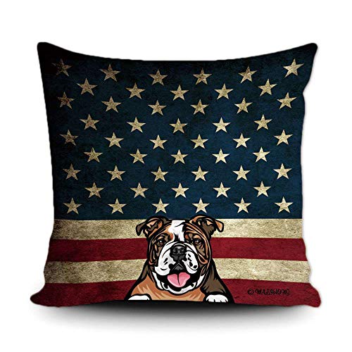 English Bulldog-3