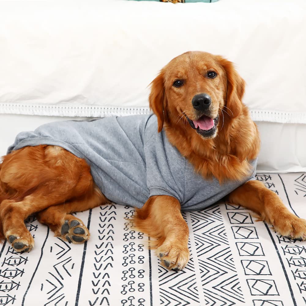 Trendy Light Gray Dog Hoodie - Soft & Comfortable Pet Clothes for Small Medium Large & XXX-Large Dogs - Perfect for Outdoor Walks & Winter Fashion