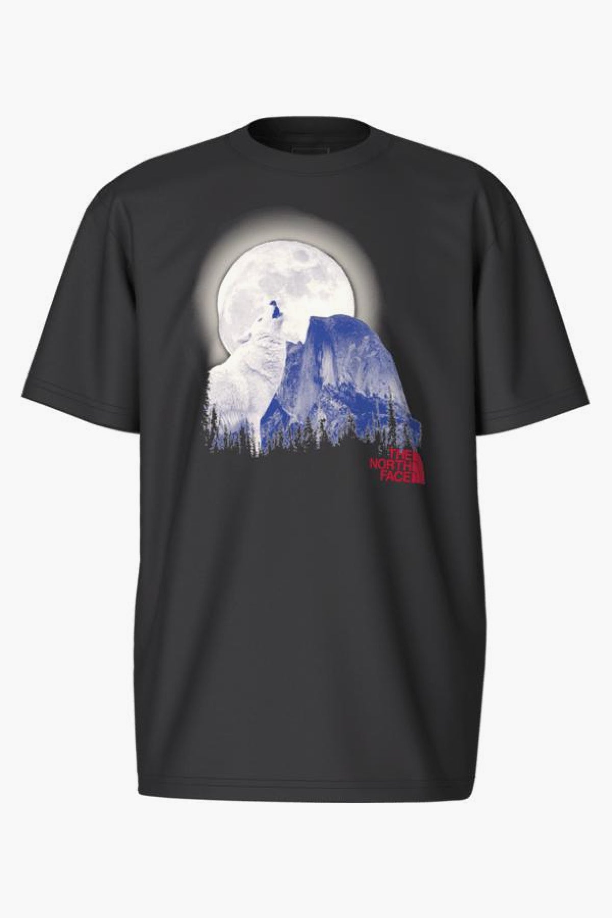 The North Face Howling Wolf Graphic T-Shirt for Boys - Size 6 | Cool Wolf Design Outdoor Adventure Shirt for Hiking, Camping & School