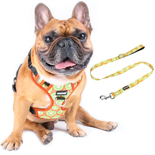 Kiwi Fruit Vest Harness with Leash