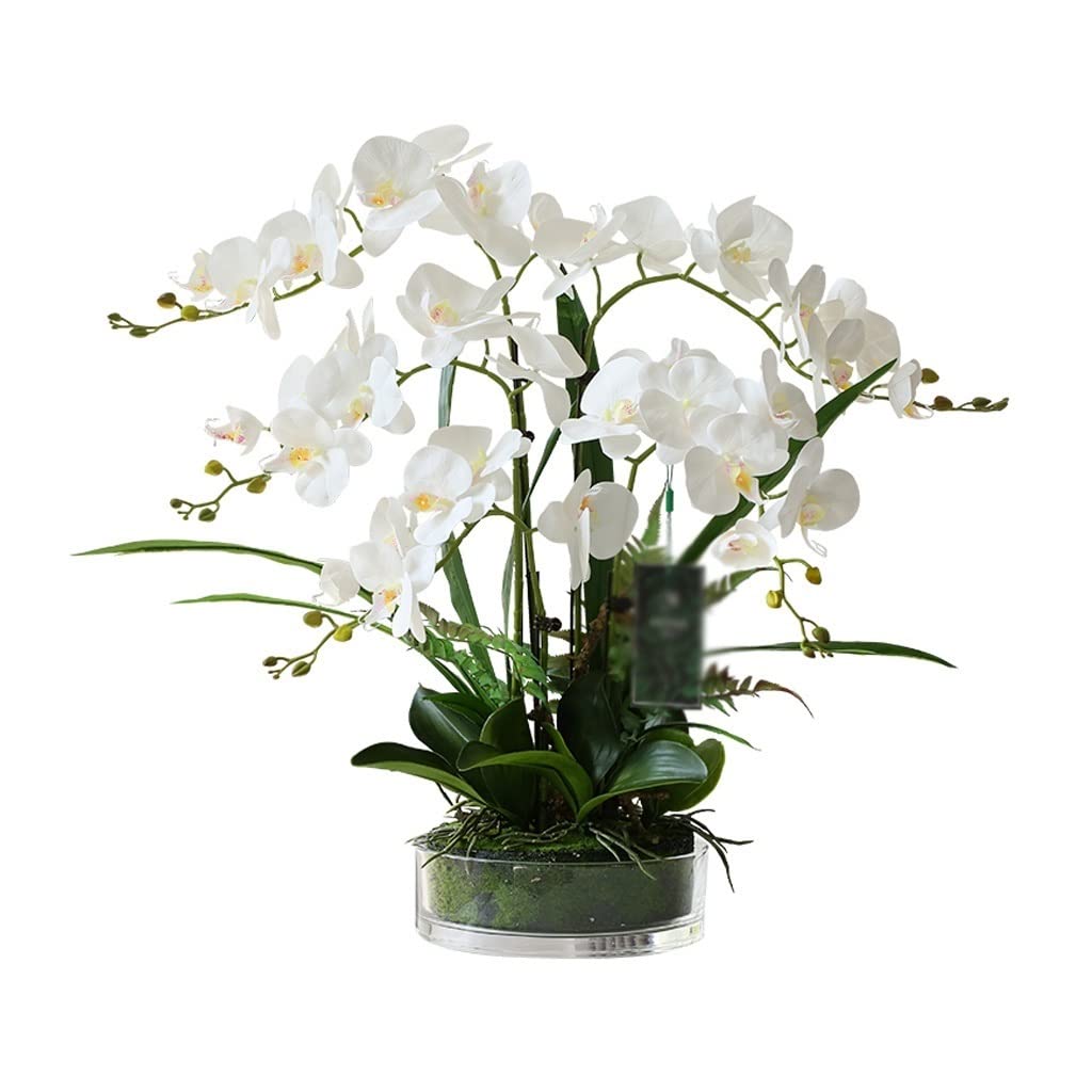 Large Artificial Silk Moth Orchid Flowers in Clear Glass Vase - Real Touch Phalaenopsis Arrangement (White) - Perfect for Home Decor, Wedding Centerpieces & Office Elegance