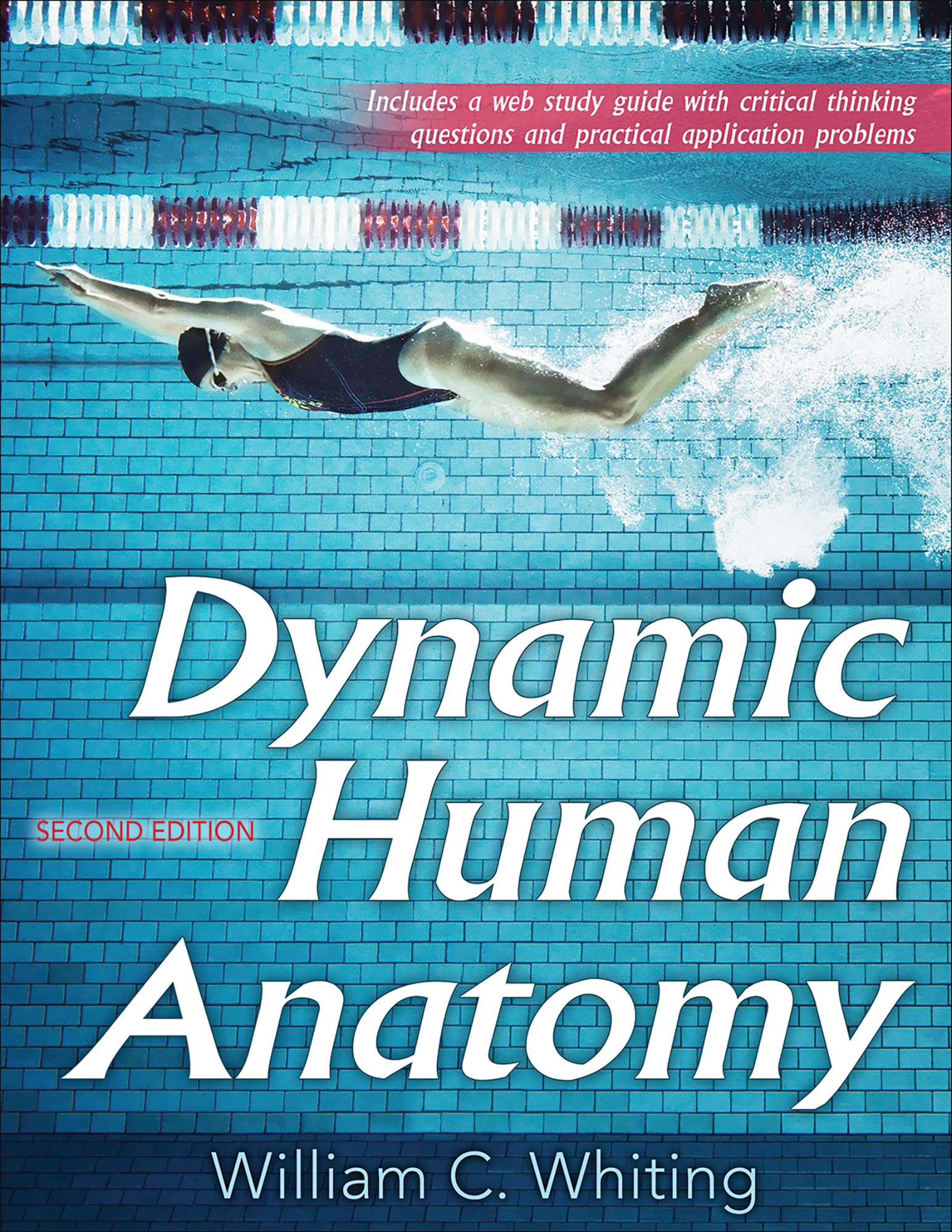 Dynamic Human Anatomy - Comprehensive 3D Study Guide for Medical Students & Artists | Perfect for Anatomy Classes, Art Reference & Healthcare Education