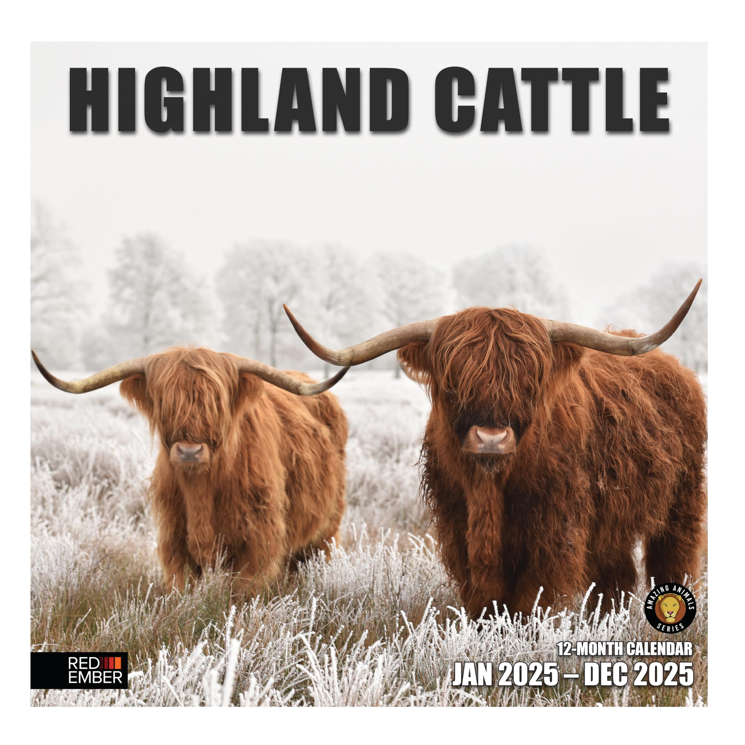 RED EMBER Highland Cattle 2025 Wall Calendar - 12 Month Large Format (12x24 Inches) with Thick Sturdy Paper - Perfect for Home, Office, or Gift Giving - Highland Cow Lover's Wall Planner for Kitchen, Classroom, or Farmhouse Decor