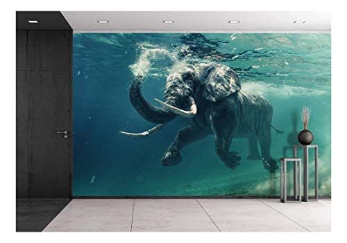 Wall26 - Self-Adhesive Removable Wall Mural: Swimming African Elephant Underwater with Mirrors & Ripples - 100x144 Inch Large Wallpaper for Living Room, Bedroom, or Office Decor