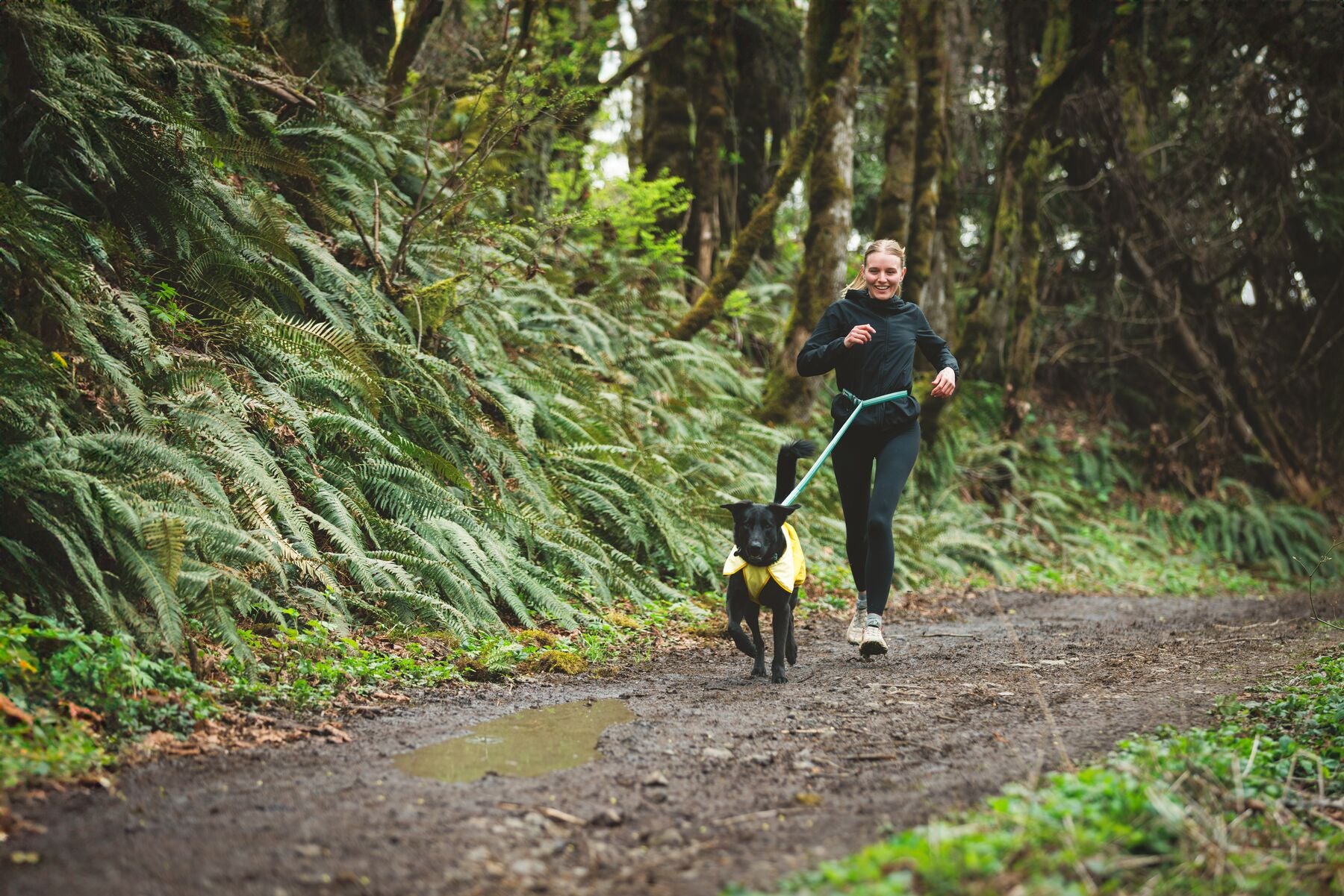 Waterproof & Windproof Ruffwear® Sun Shower™ Dog Raincoat - Mineral Yellow | Outdoor Adventure Gear for Hiking, Camping & Wet Weather Protection