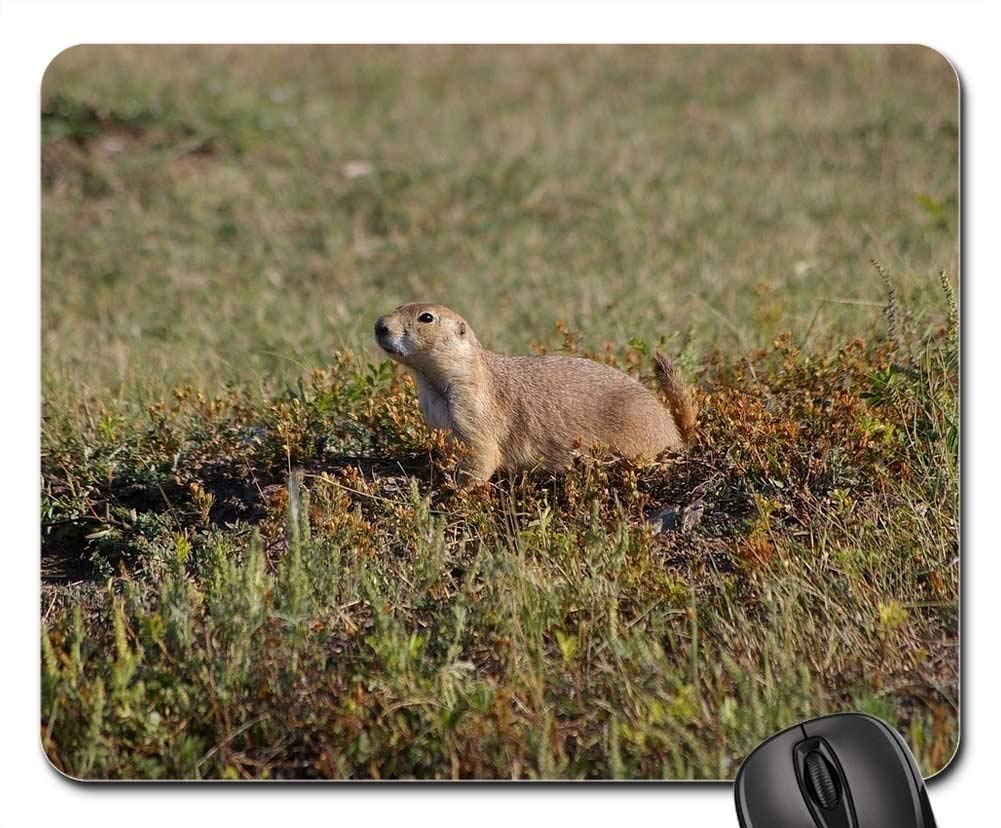 Premium Gaming Mouse Pad - Large Non-Slip Mouse Mat with Prairie Dog Wildlife Design for PC, Laptop, Office & Gaming Setup - Perfect for Gamers, Programmers & Nature Lovers