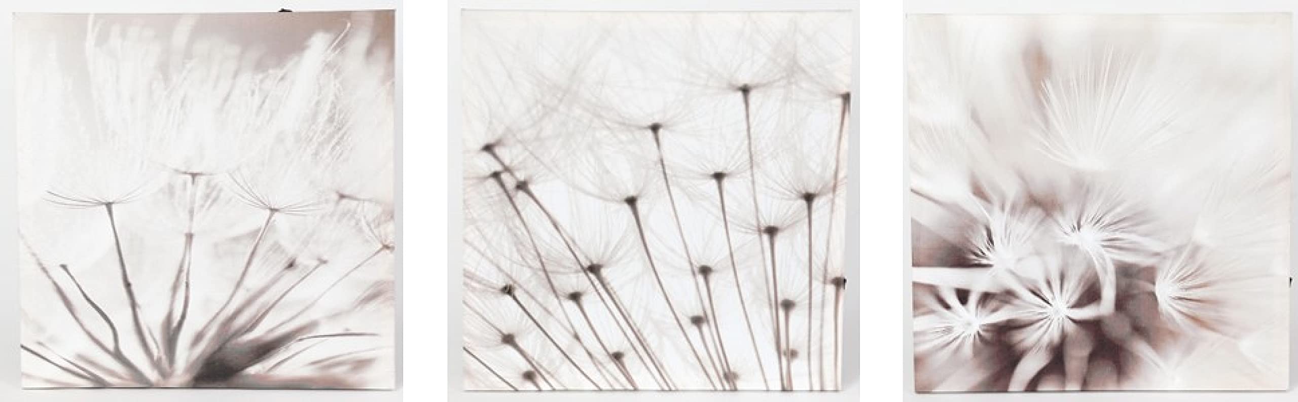 LuxenHome 3-Piece Dandelion Canvas Wall Art - Lighted Botanical Decor for Living Room & Bedroom