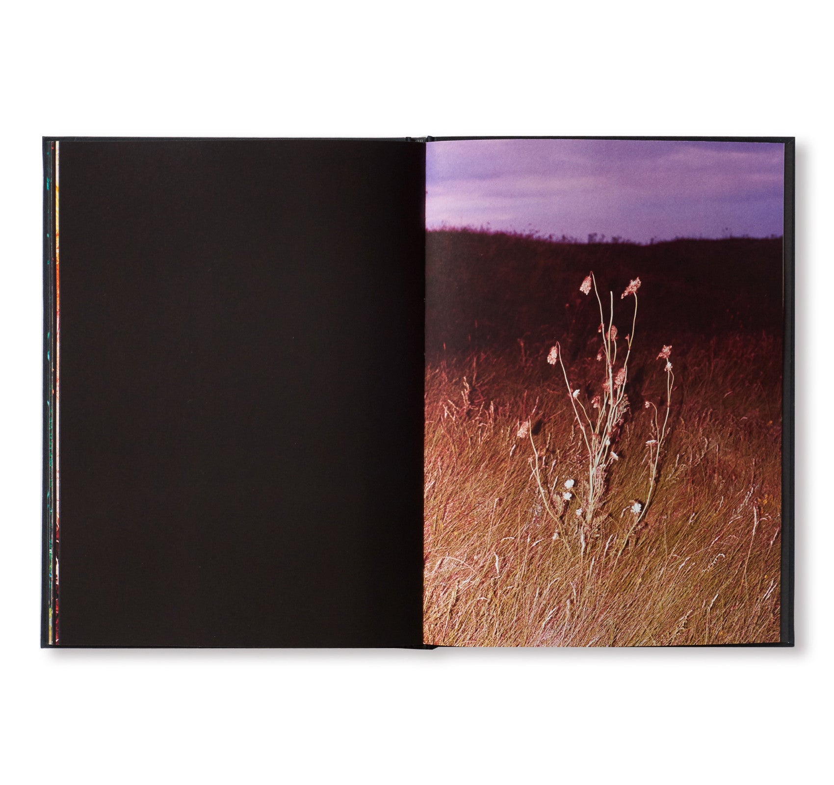 Coley Brown's 'A Recurring Dream' - Signed Second Edition Hardcover Book | Perfect for Art Lovers & Photography Enthusiasts