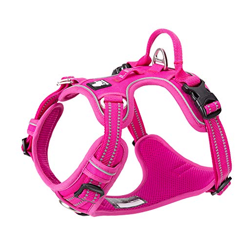 WINHYEPET No Pull Dog Harness - Reflective Soft Mesh Vest for Small, Medium & Large Dogs - Adjustable Padded Pet Harness for Walking, Running & Easy Control (Fuchsia, Medium) - Perfect for Outdoor Adventures & Nighttime Safety