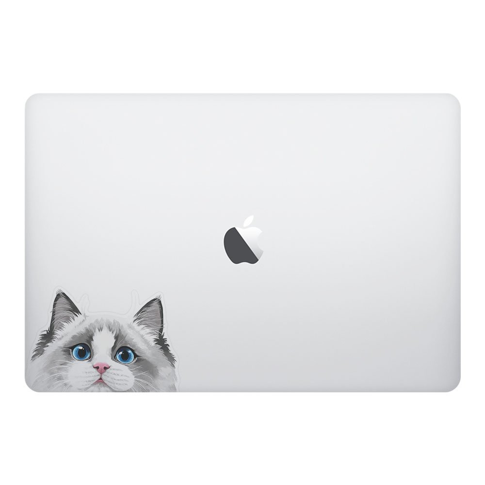 5 x 5 Inch White Silver Point Ragdoll Cat Vinyl Decal Stickers - Removable Laptop Decals for MacBook, iPad, Phone, Car, Window | Cute Pet Decor, DIY Stickers for Flat Surfaces