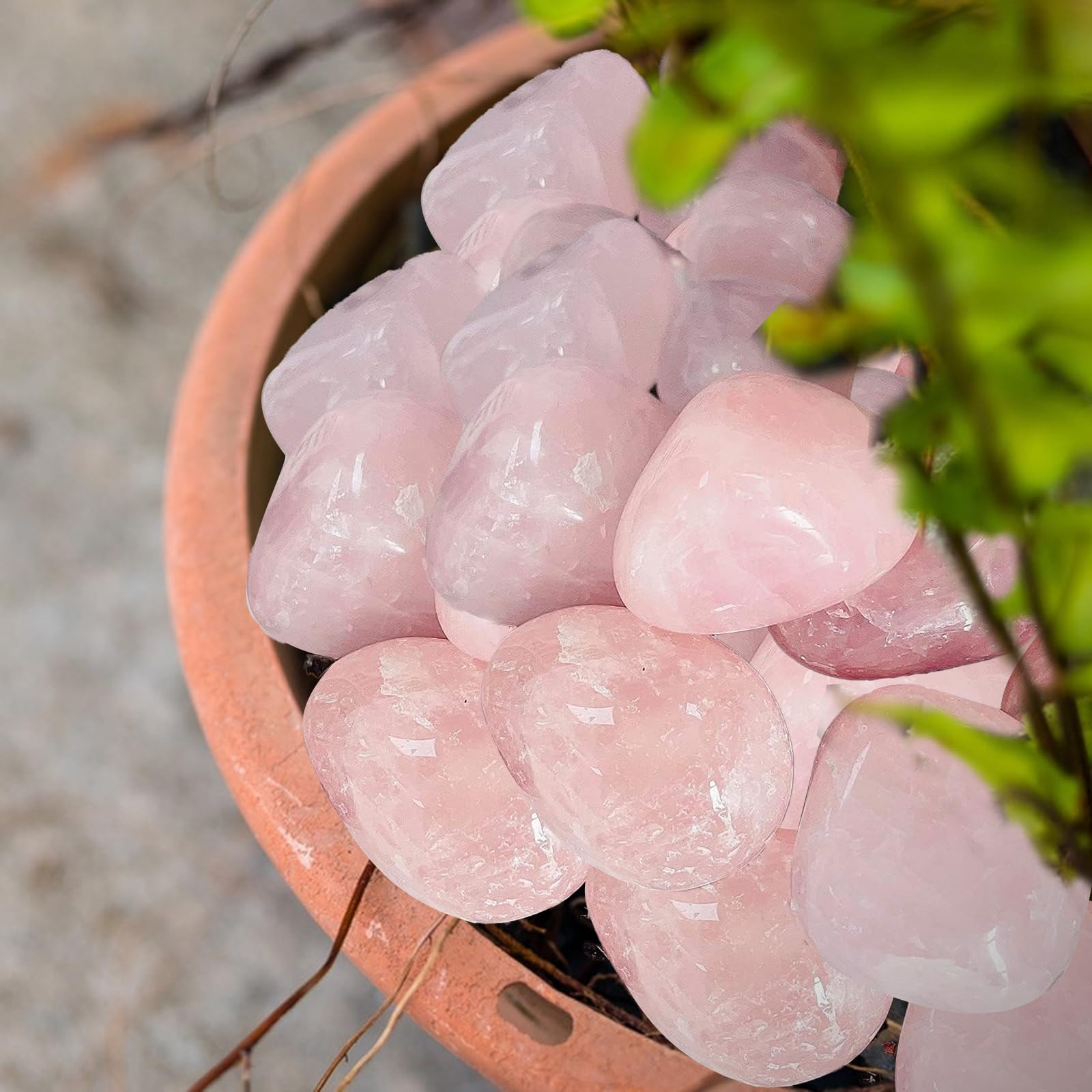 Natural Rose Quartz Stones 2-3cm Raw Pink Quartz Crystals for Anxiety Relief & Stress Reduction - Healing Crystal for Meditation, Reiki, Home Decor & Jewelry Making (Random Quantity)
