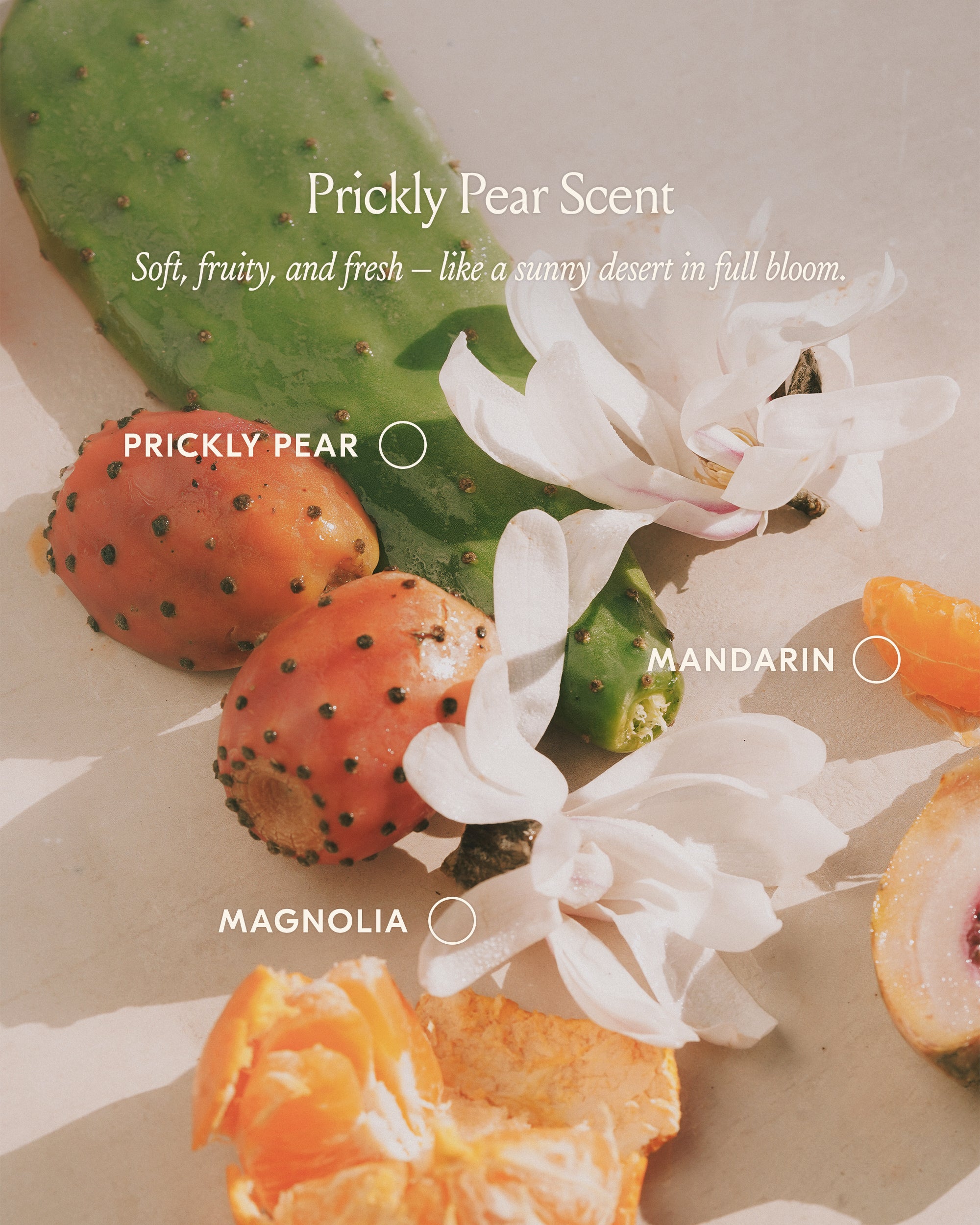 Organic Prickly Pear Hair Oil for Dry & Damaged Hair - Natural Nourishing & Repairing Treatment - Perfect for Daily Hydration & Split Ends - Salon-Quality Hair Care at Home