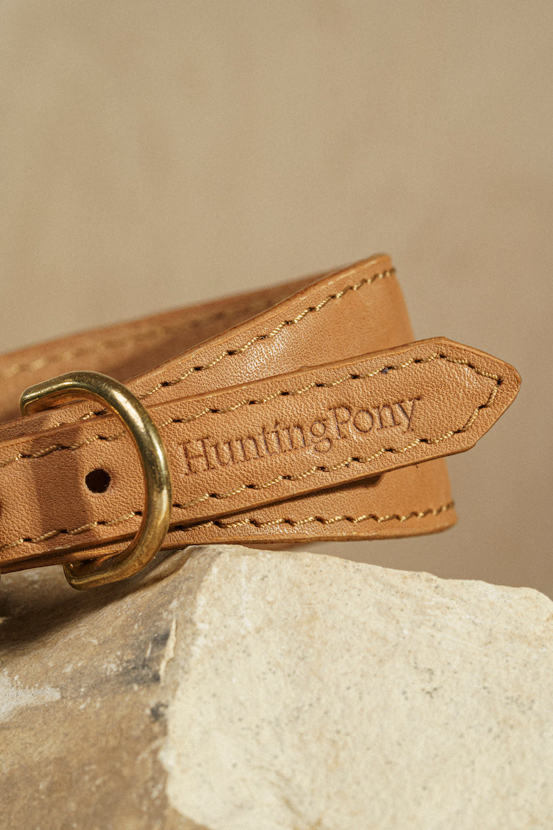 Premium Dog Collar with Herring Ginger Scent - Comfortable & Durable Pet Accessory for Walking, Training, and Outdoor Adventures