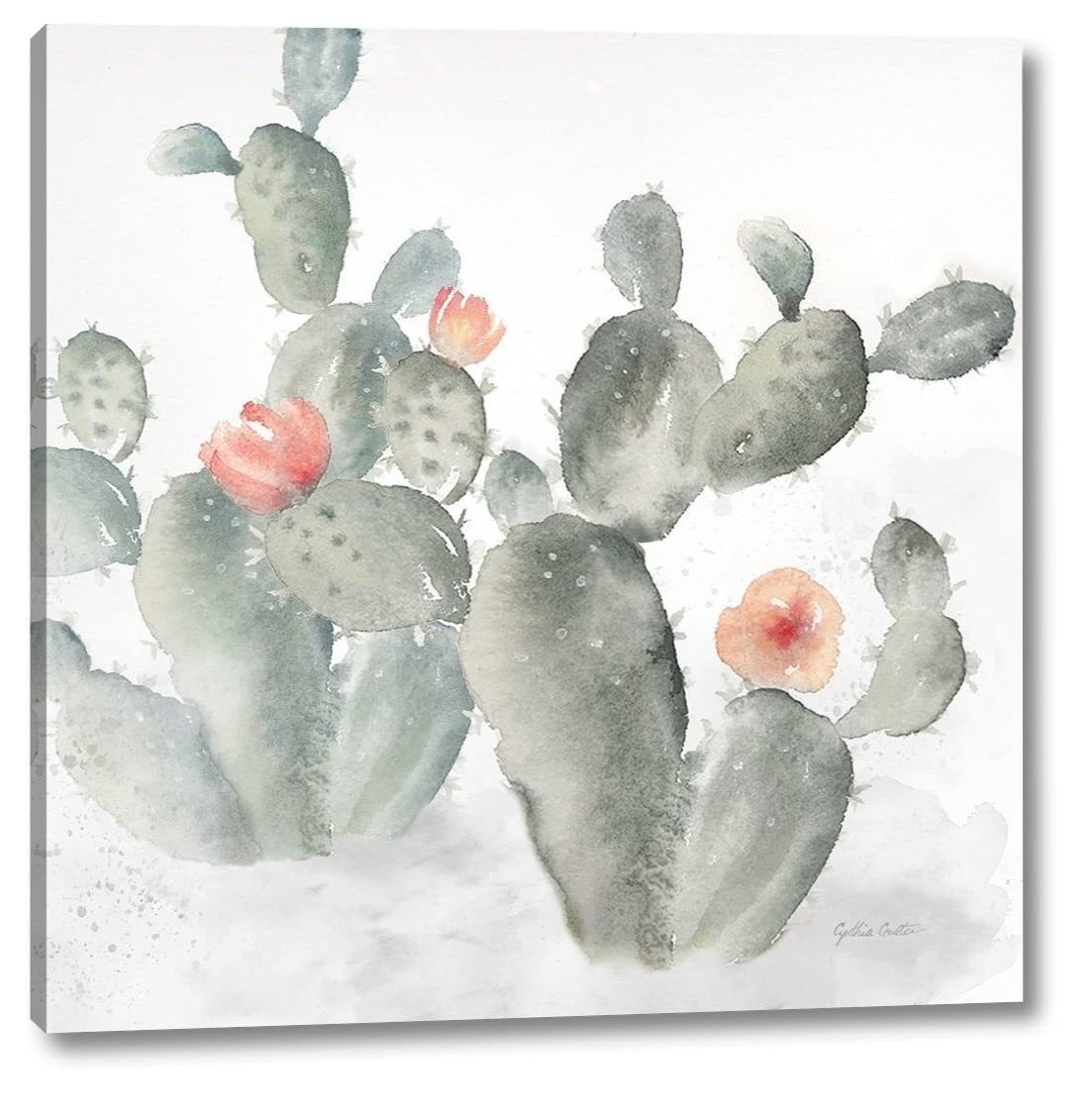 Cynthia Coulter Cactus Garden Gray Blush III 36x36 Inch Gallery Wrapped Canvas Wall Art Print - Ready to Hang - Perfect for Living Room, Bedroom & Office Decor