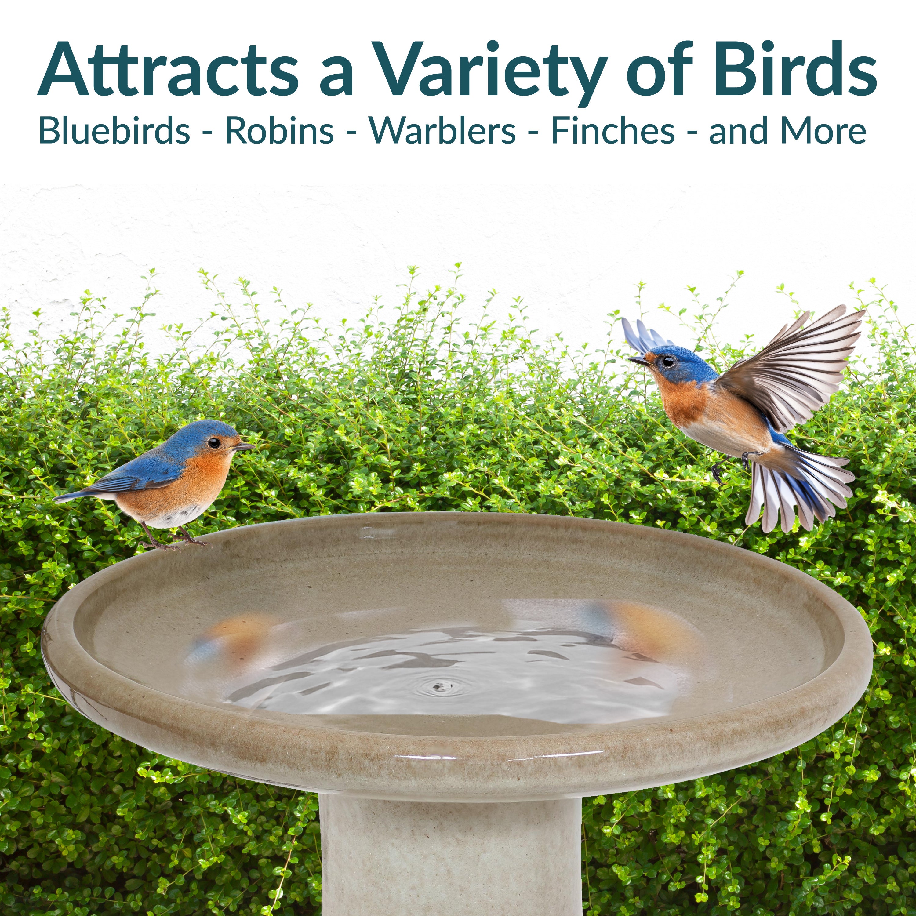 Sunnydaze Glazed Ceramic Duo Tone Outdoor Bird Bath - Garden Decor for Attracting Birds & Enhancing Outdoor Spaces