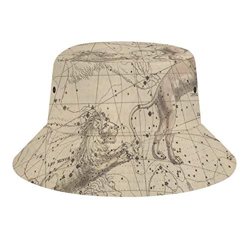 Vintage Old Map6