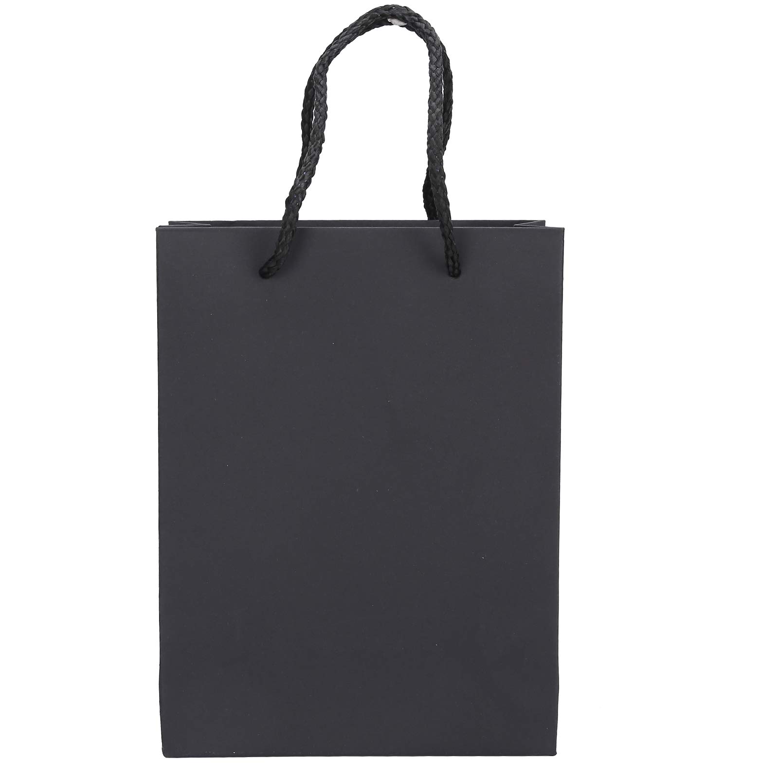 Premium Gift Bags with Handles - Durable & Easy to Carry for Gift Wrapping, Collectibles Storage, Craft Organization & Home Decor | Perfect for Parties, Weddings & Holiday Gifting