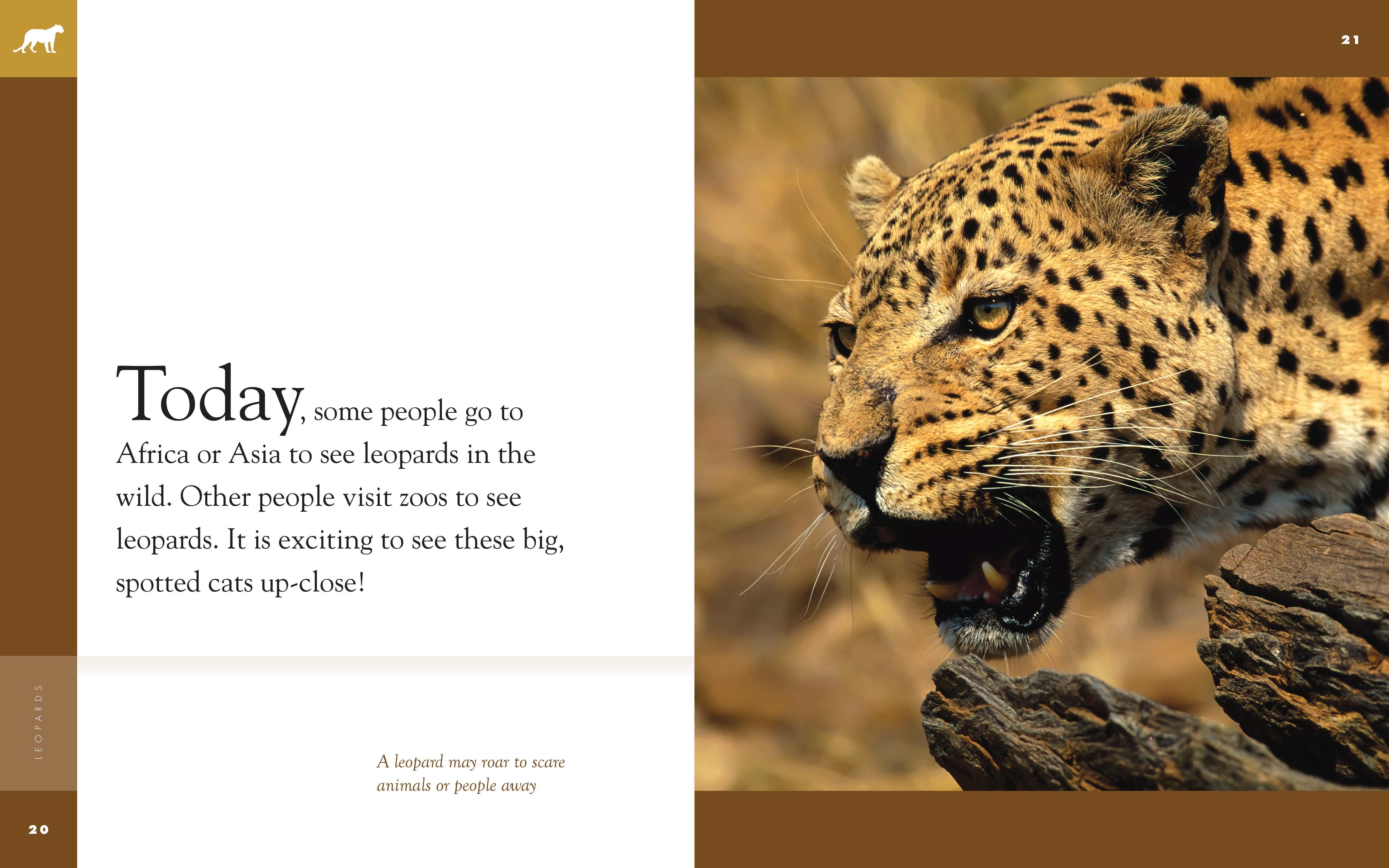 Amazing Animals (2014): Leopards - Wildlife Documentary DVD | Educational Nature Films for Kids & Adults | Perfect for Classroom Learning & Home Entertainment