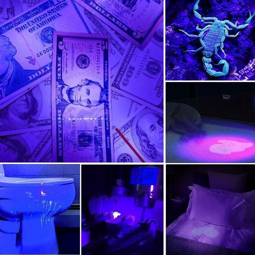 Super Bright UV Flashlight 395nm Black Light - Perfect for Detecting Counterfeit Money, Pet Stains, and Scorpion Hunting