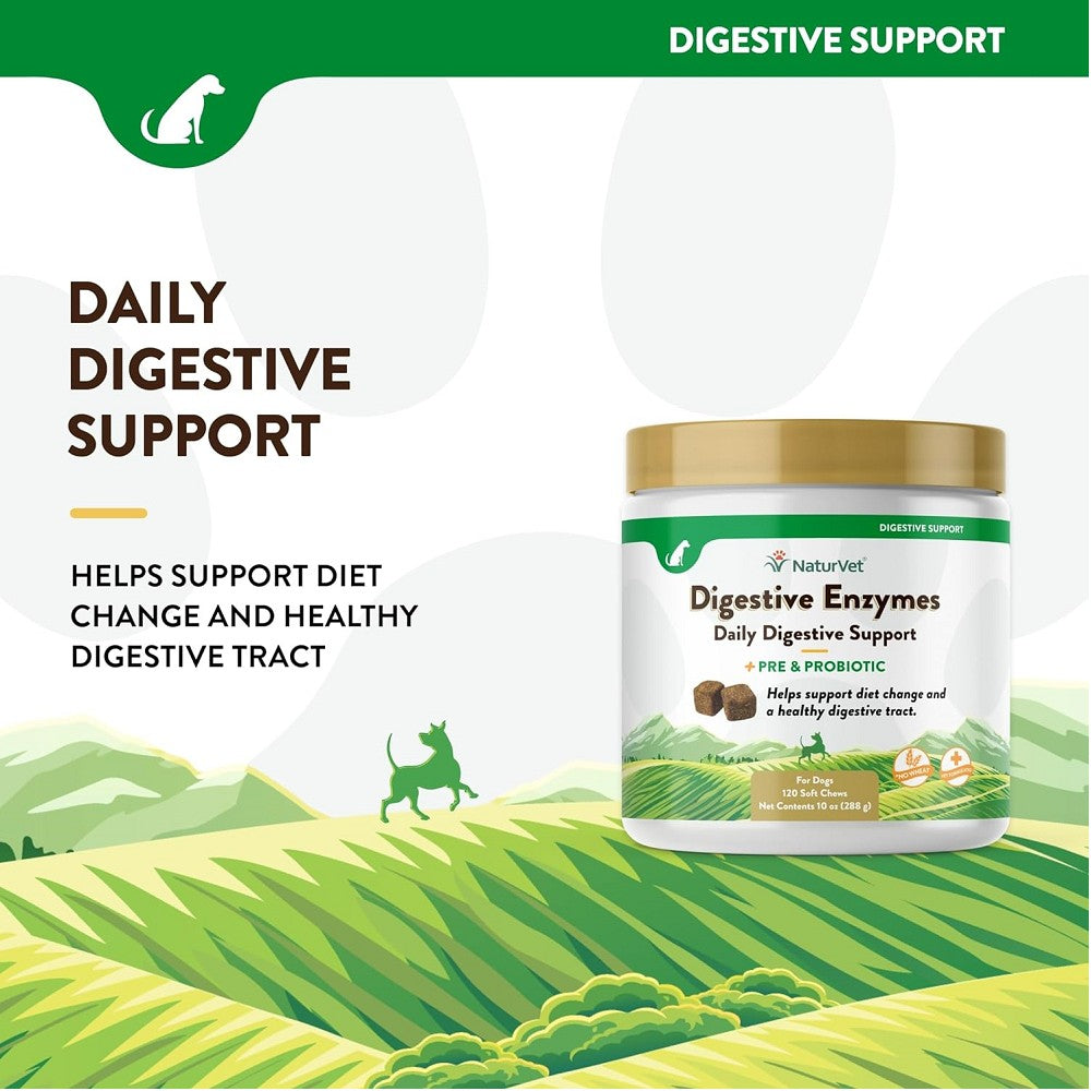 Digestive Enzymes Powder with Probiotics for Dogs & Cats - Supports Gut Health & Digestion - Ideal for Sensitive Stomachs & Food Allergies